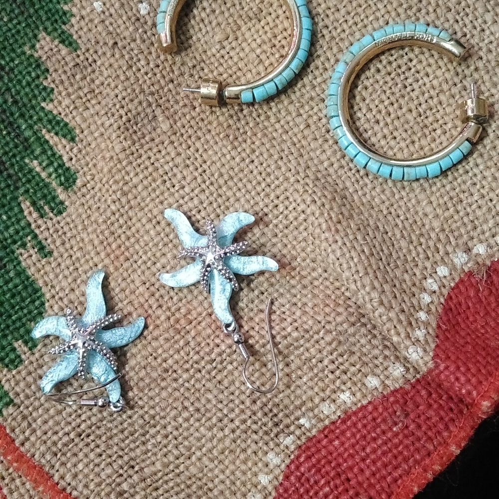 Earrings